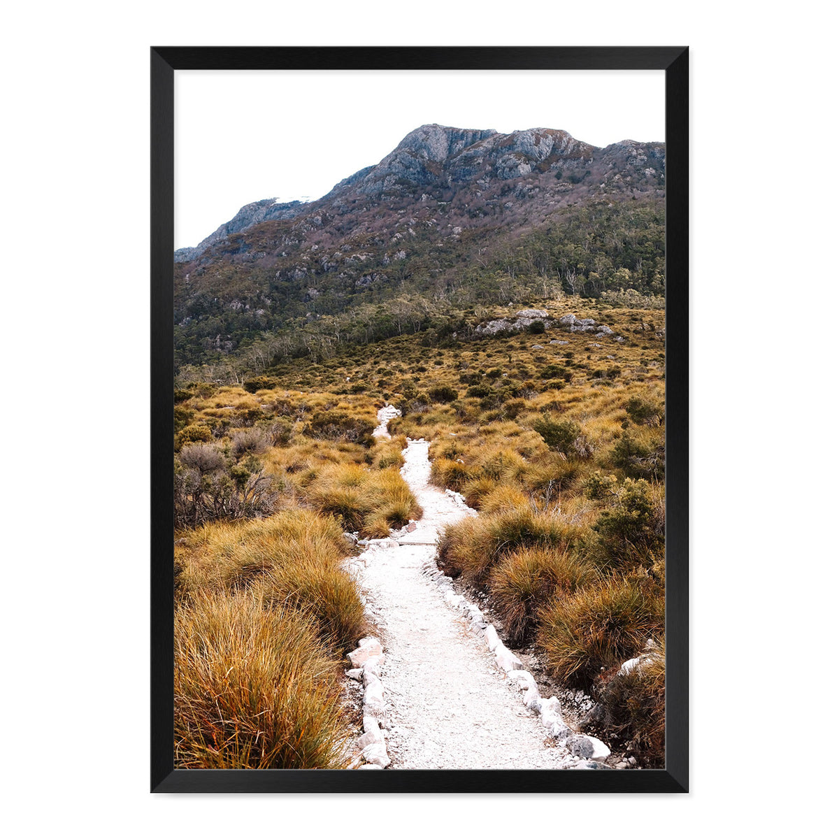 The Path Photo Print A1 Natural Timber Frame