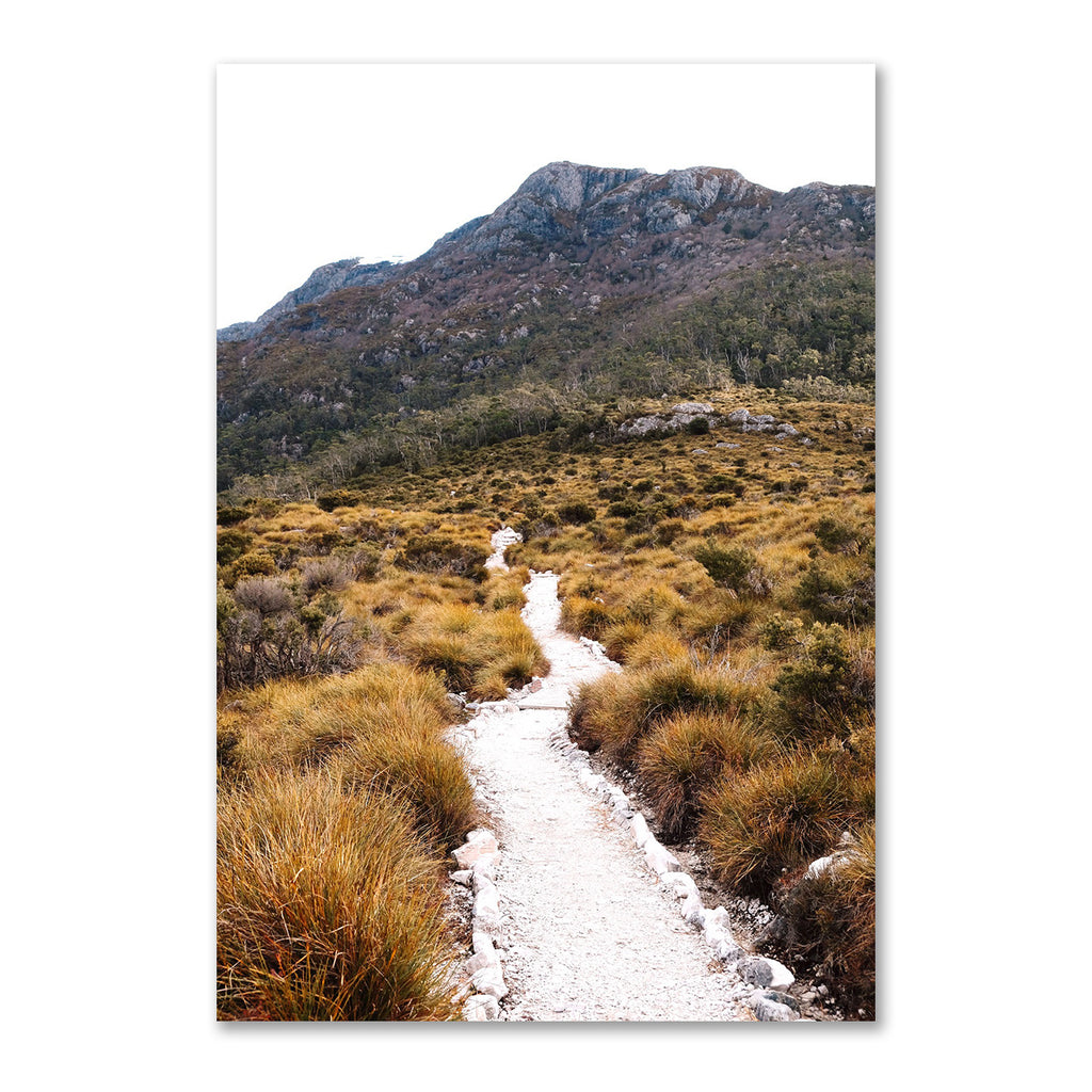 The Path Photo Print A2 White Frame