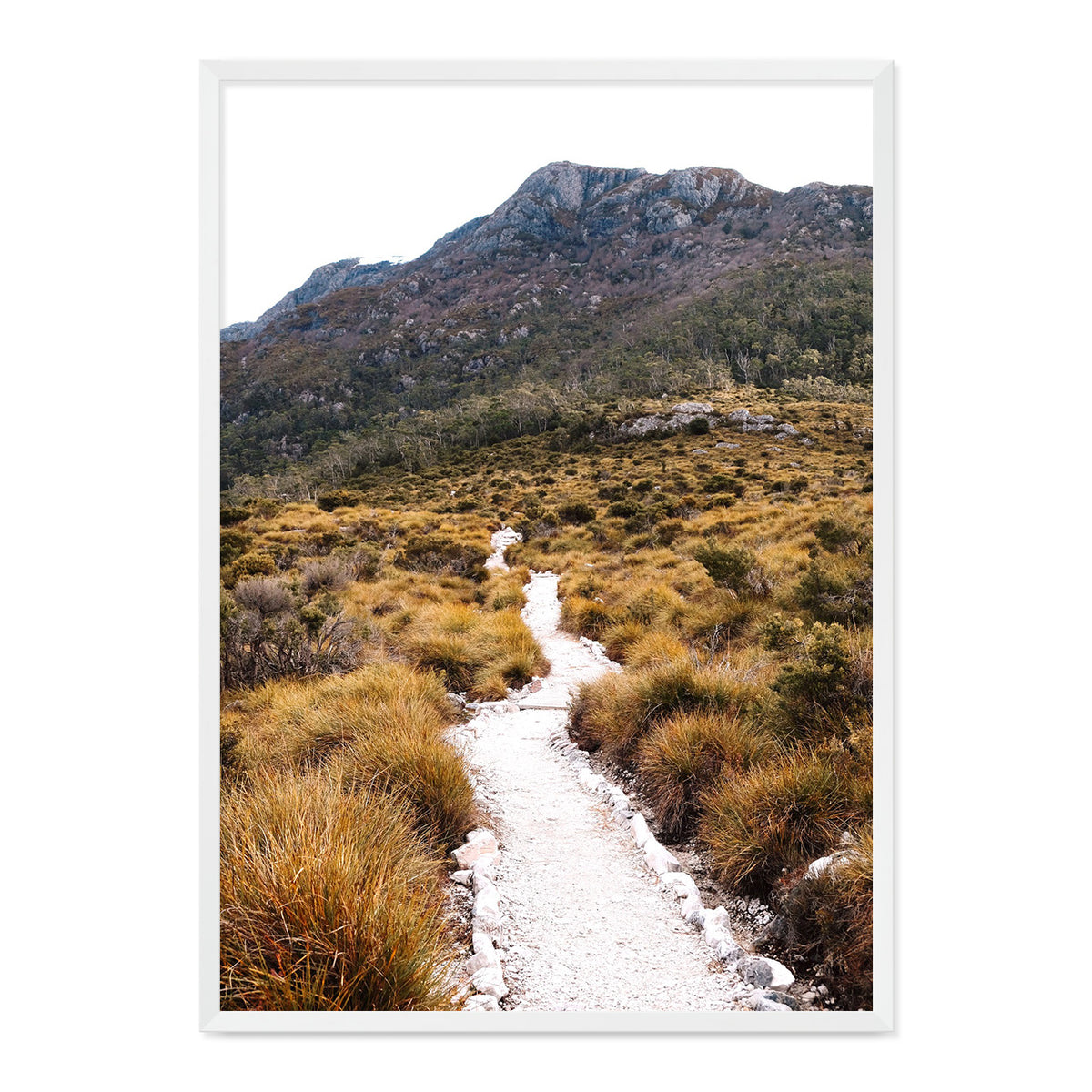 The Path Photo Print A3 Black Frame