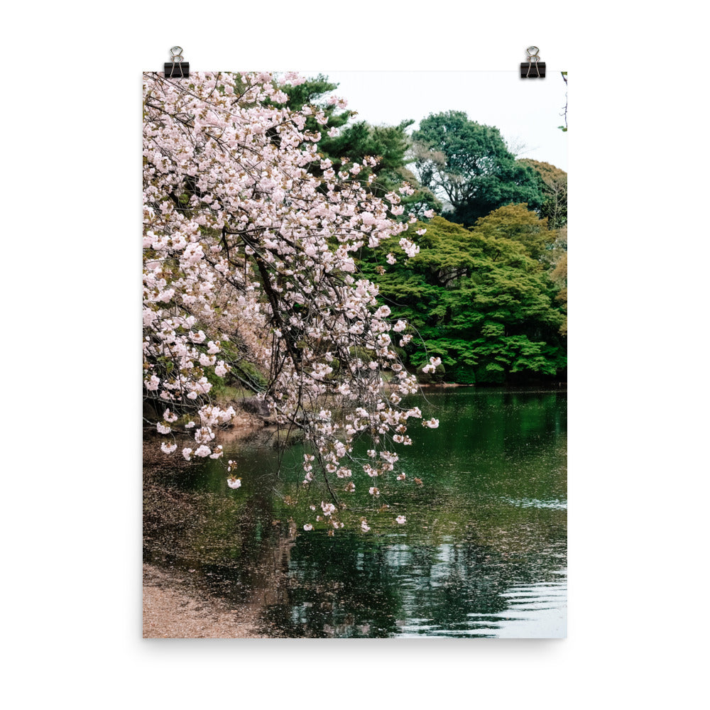 Japanese Garden Print