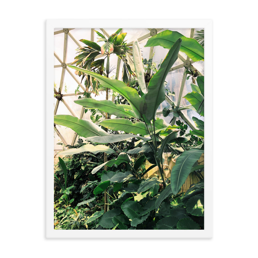 Greenhouse Print