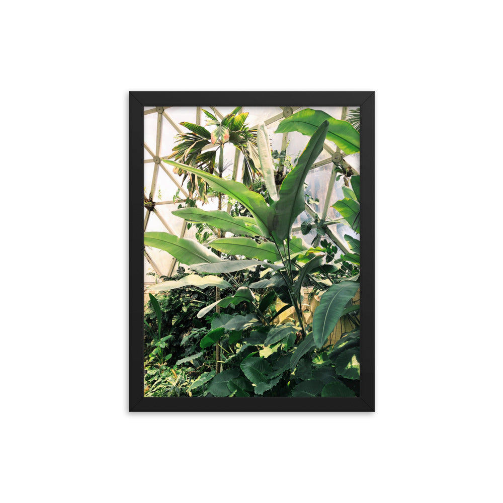 Greenhouse Print