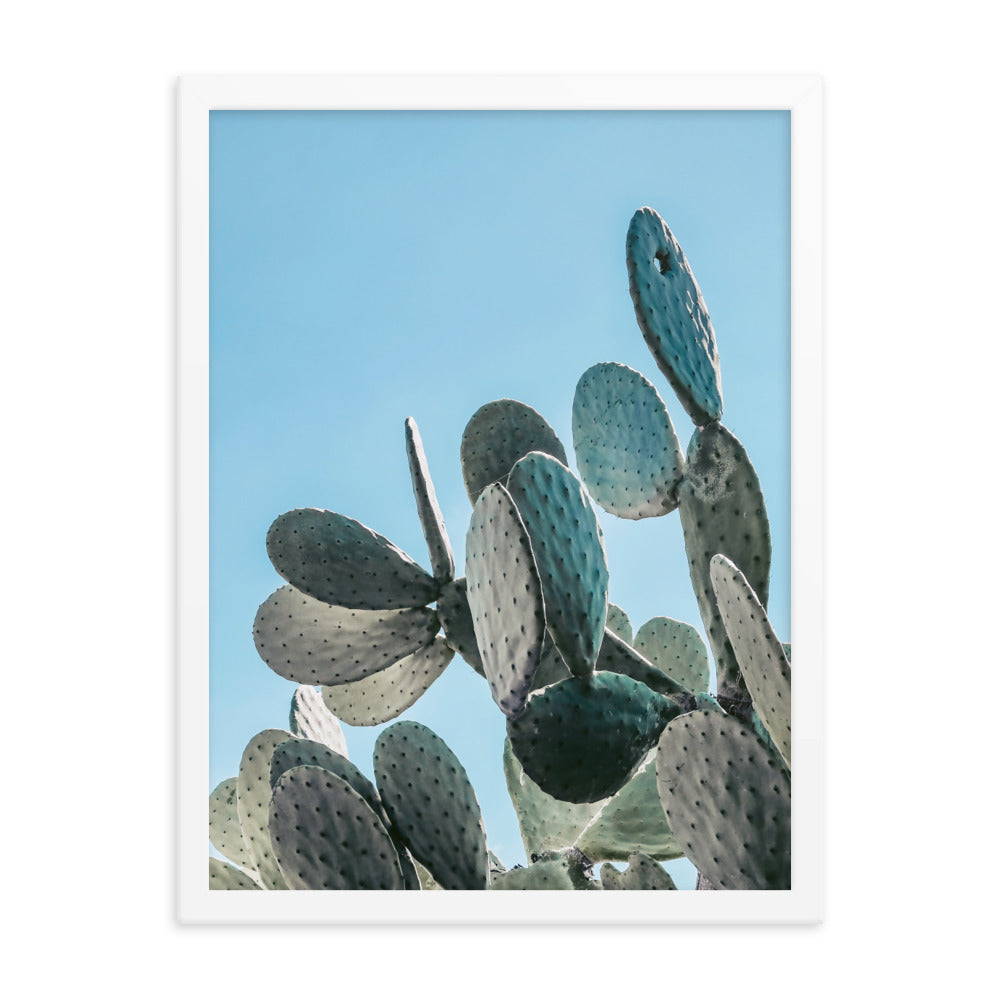 Prickly Pear Photo Print A1 Black Frame