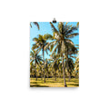 Palm Farm Print