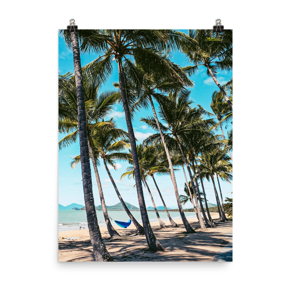 Palm Cove Print