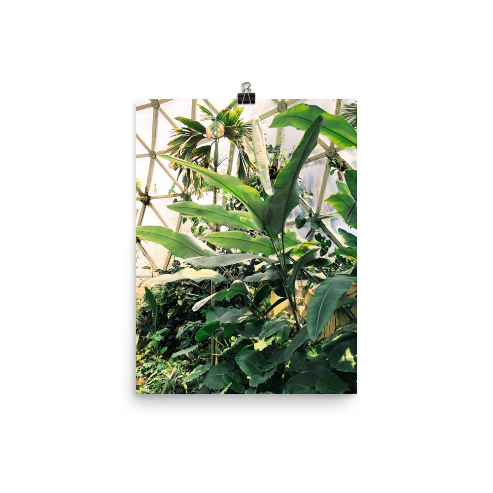 Greenhouse Print