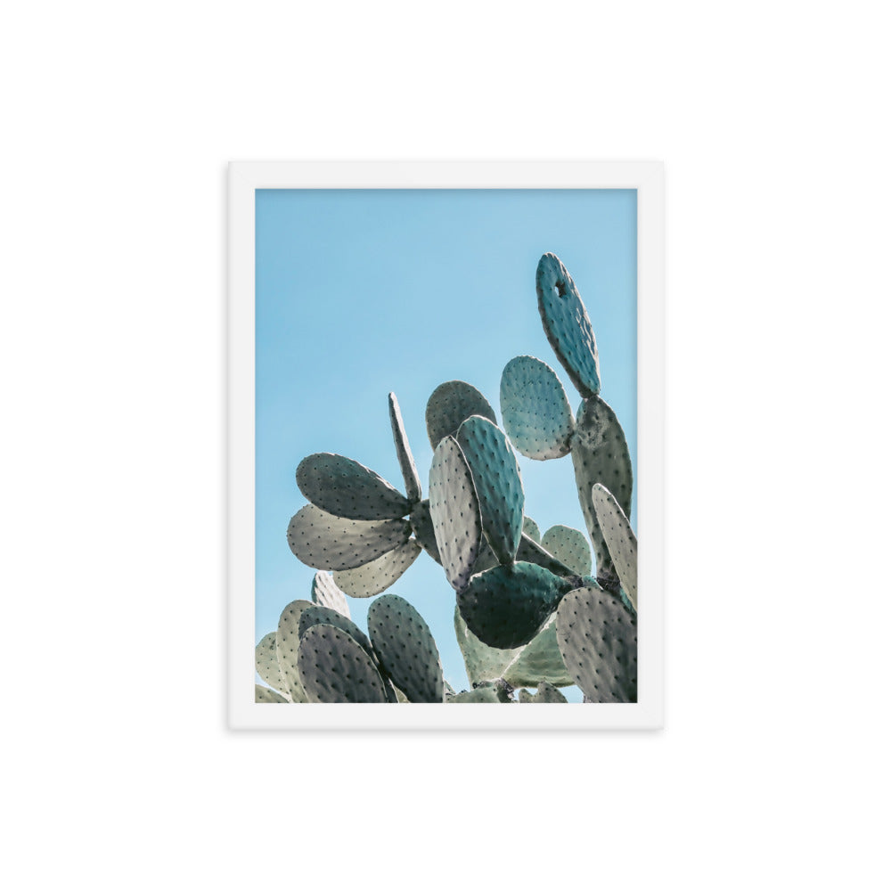 Prickly Pear Photo Print A3 Black Frame