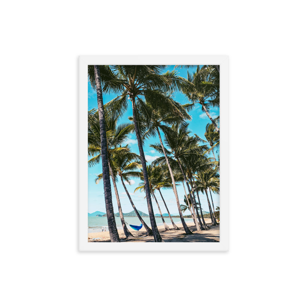 Palm Cove Print