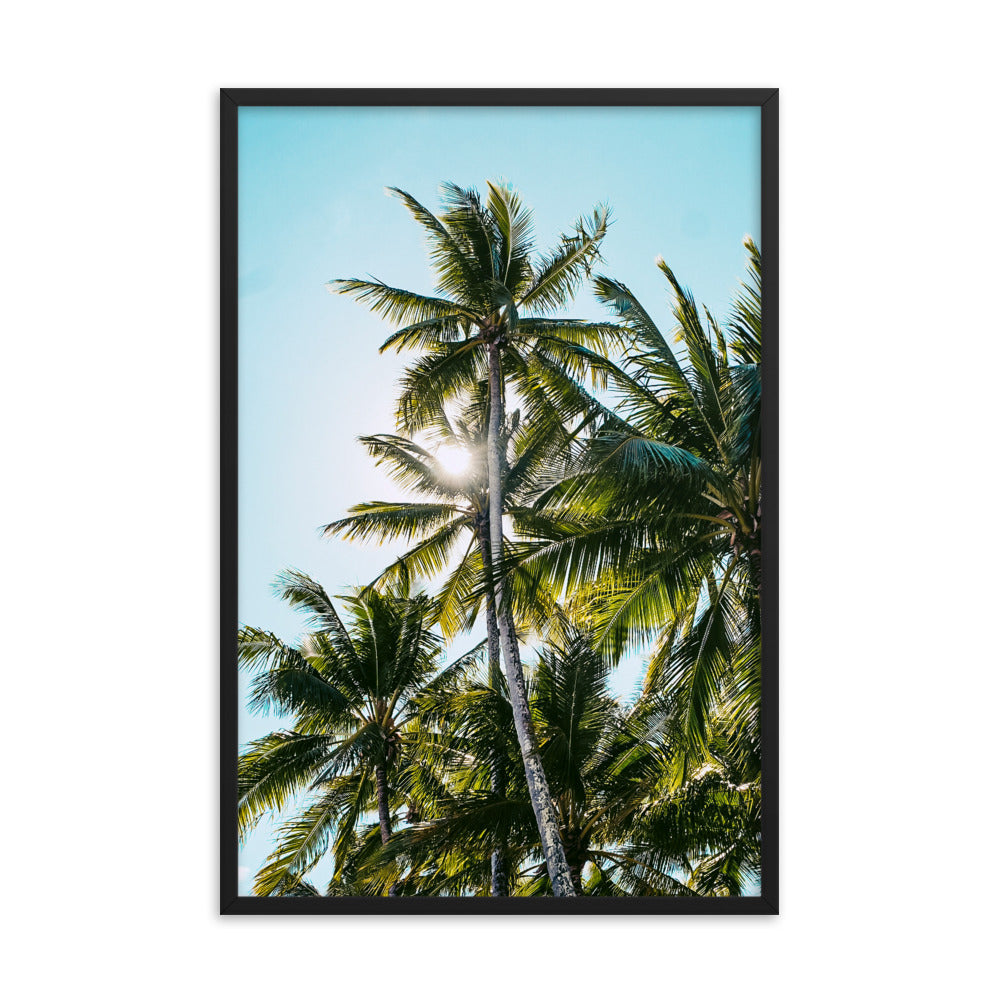 Palm Skies Print