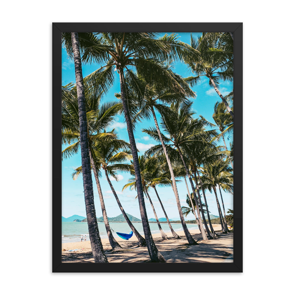 Palm Cove Print