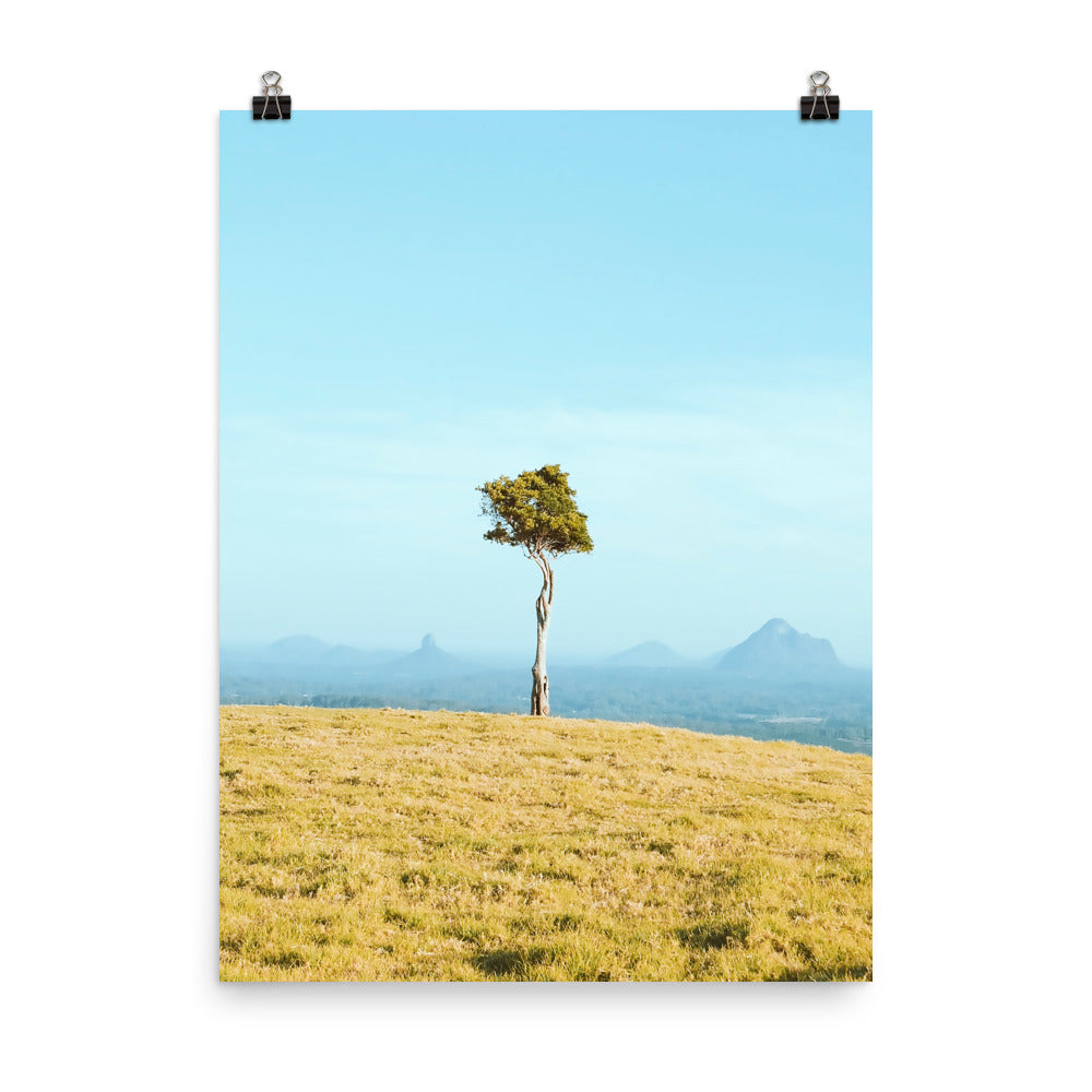 One Tree Hill Print