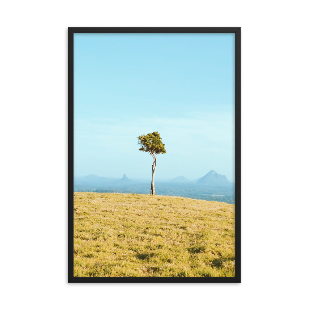 One Tree Hill Print