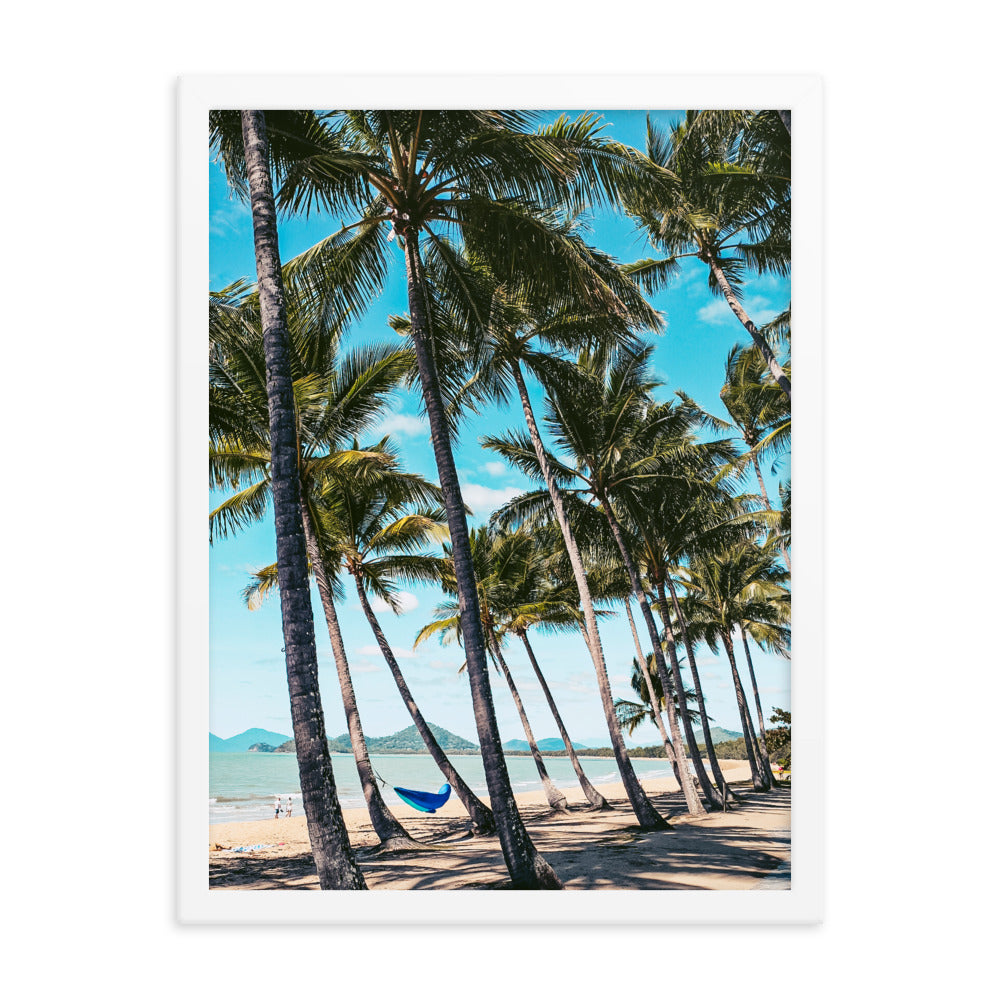 Palm Cove Print