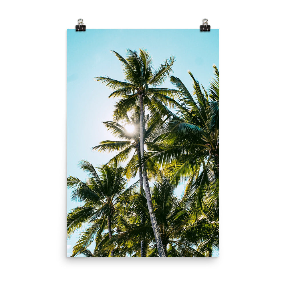 Palm Skies Print