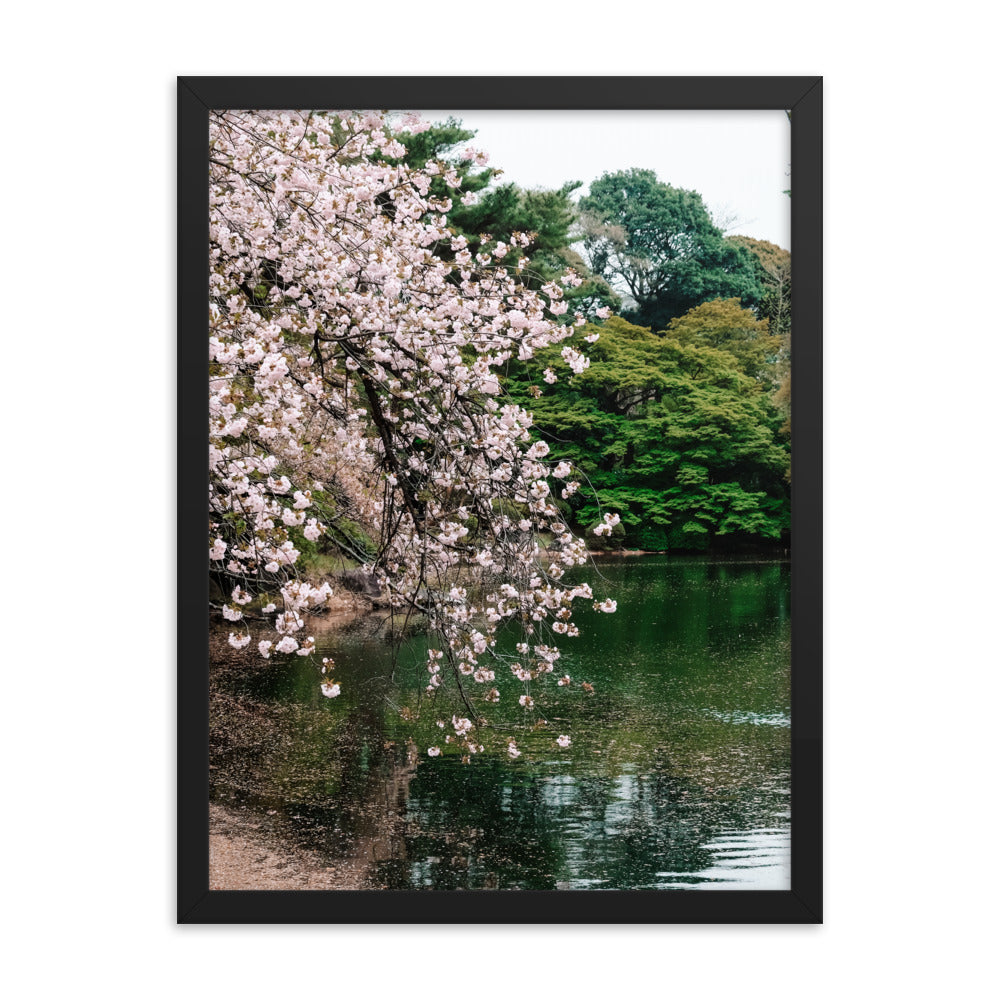 Japanese Garden Print
