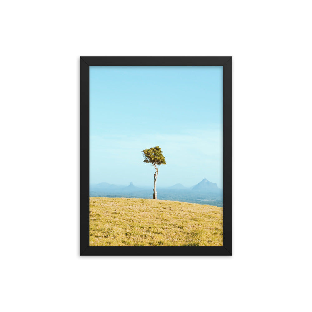 One Tree Hill Print