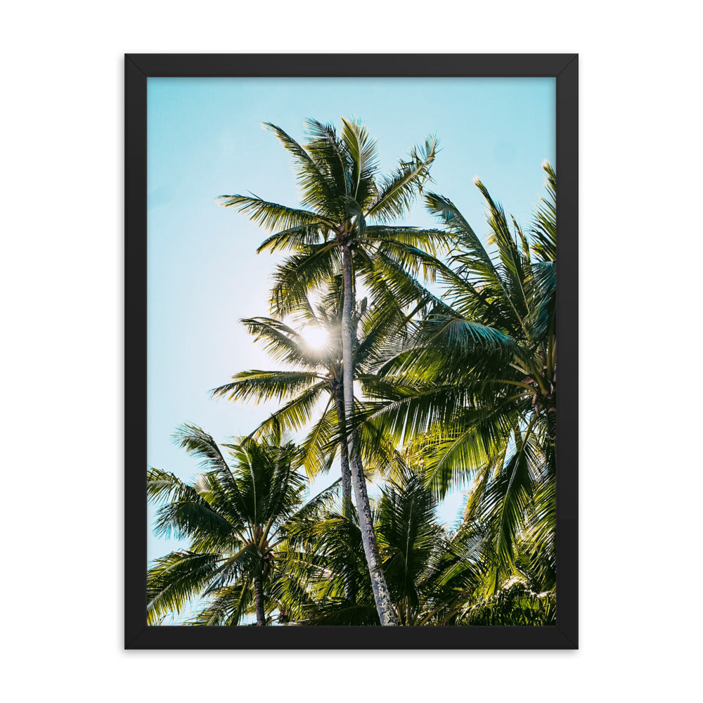 Palm Skies Print