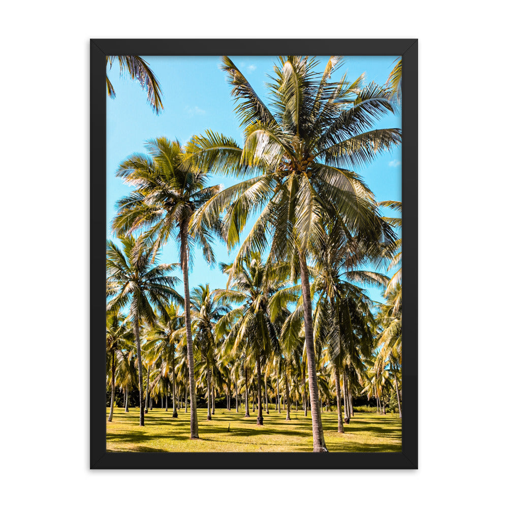 Palm Farm Print