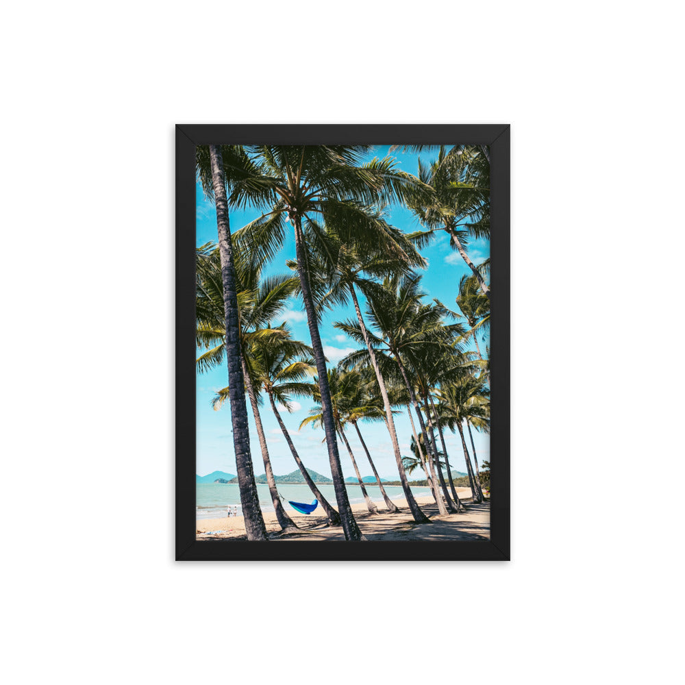 Palm Cove Print