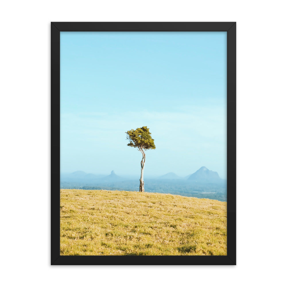 One Tree Hill Print