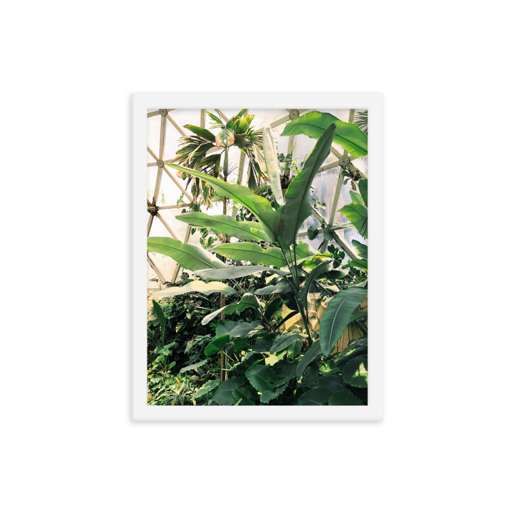 Greenhouse Print