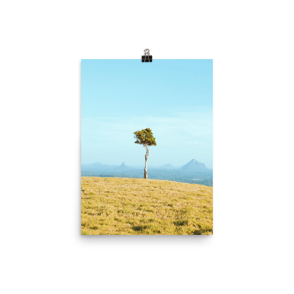 One Tree Hill Print