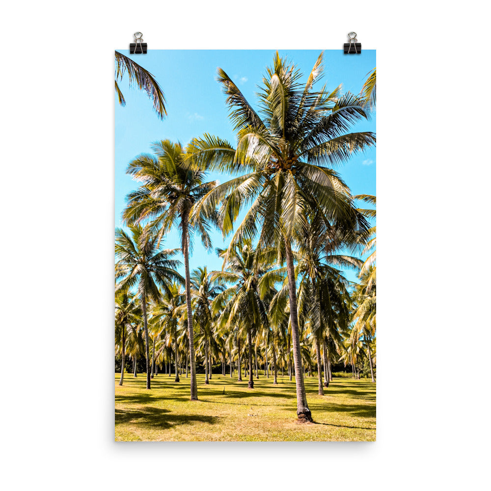 Palm Farm Print