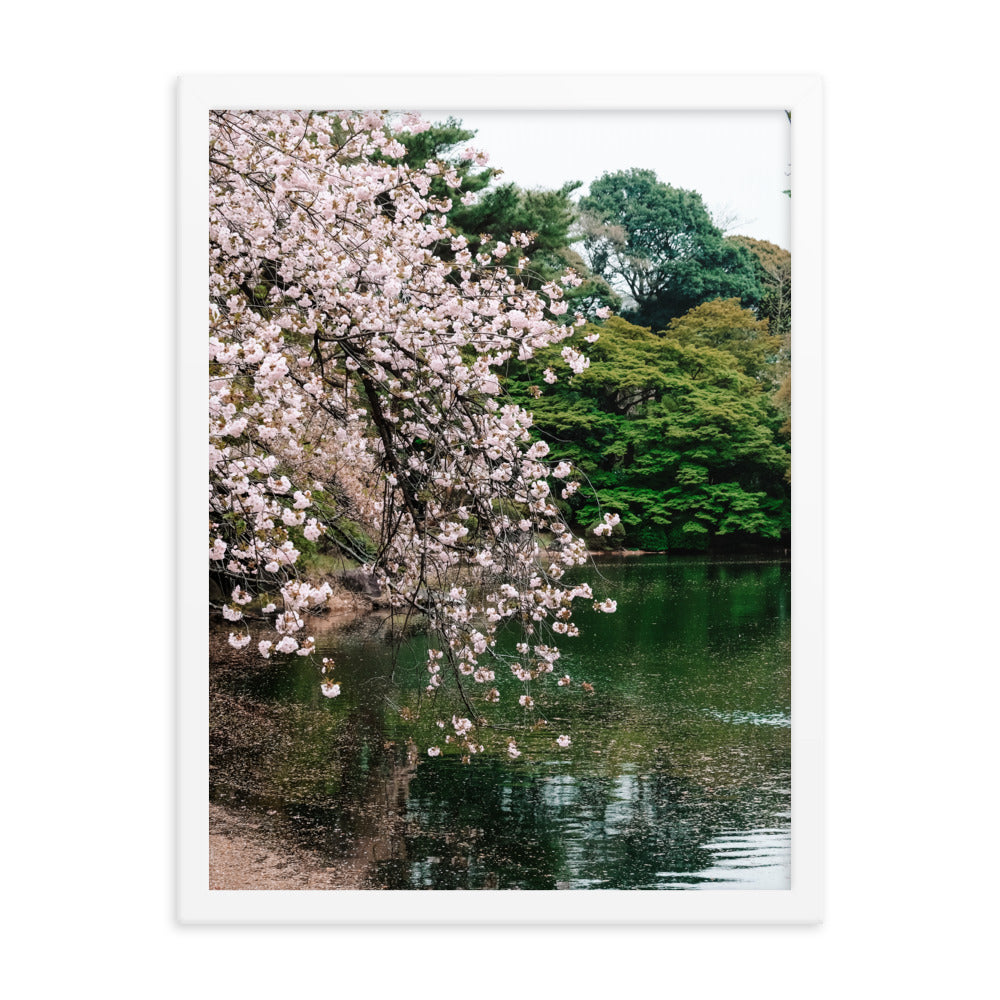 Japanese Garden Print