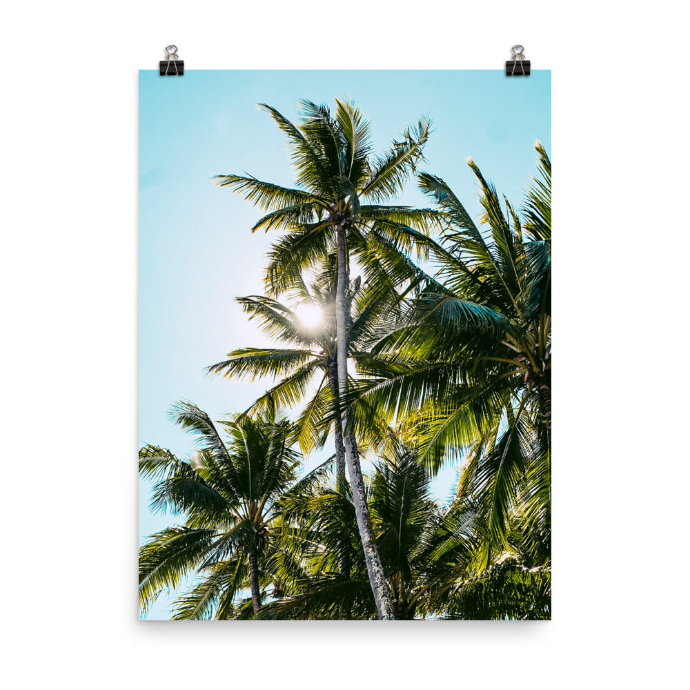 Palm Skies Print