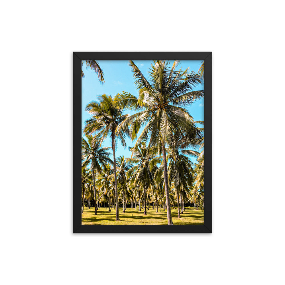 Palm Farm Print
