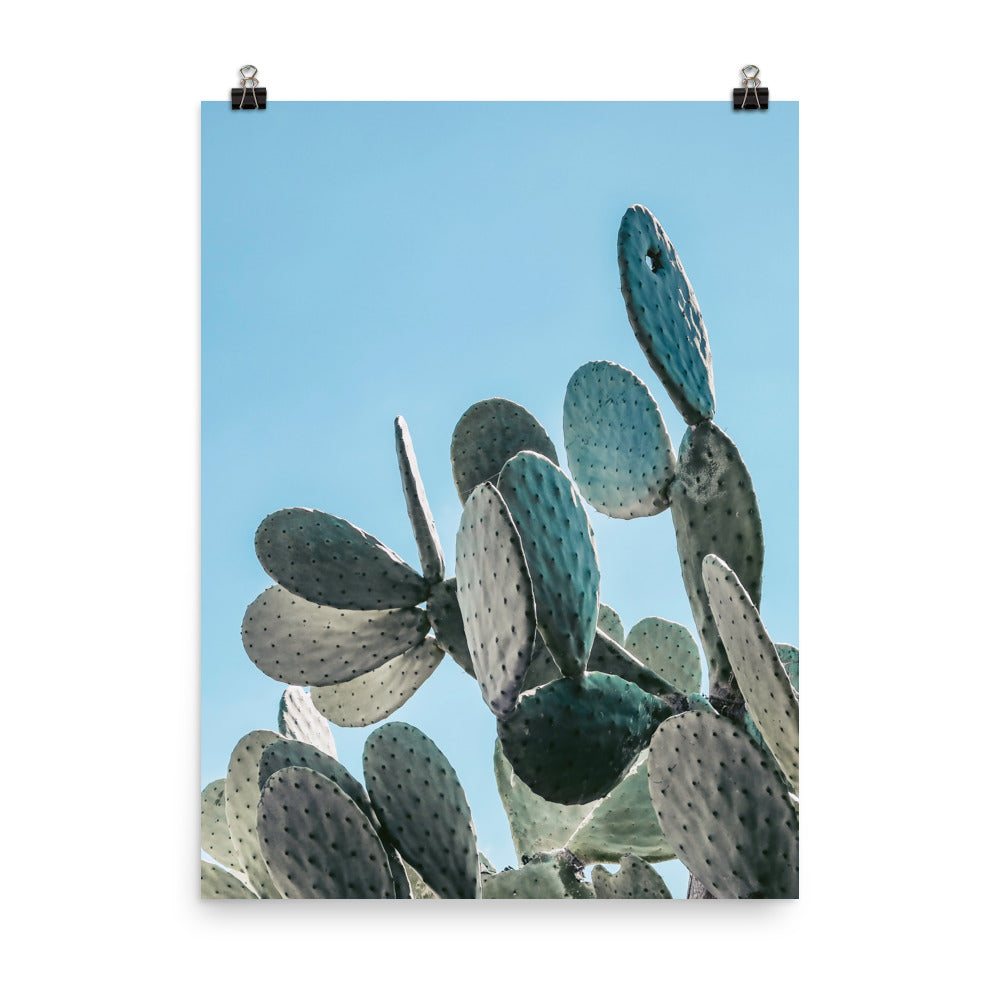 Prickly Pear Photo Print A2 White Frame