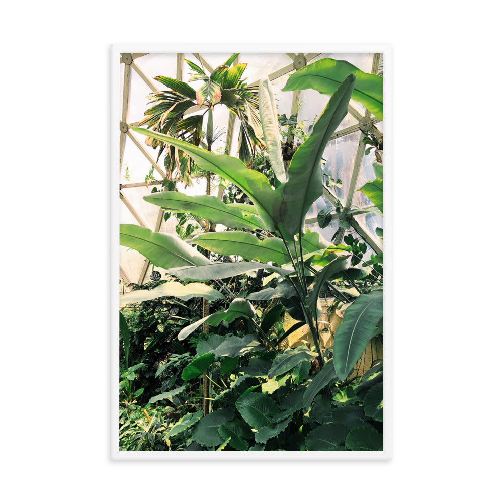 Greenhouse Print