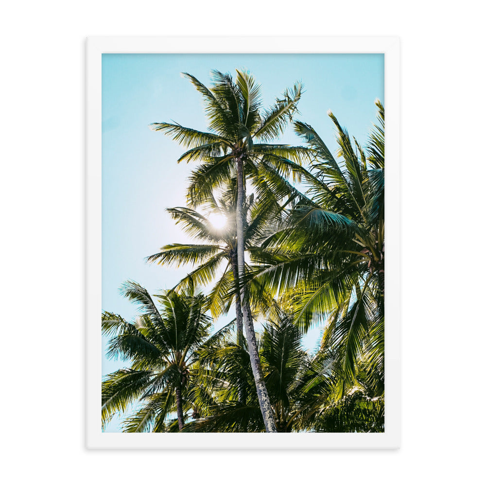 Palm Skies Print