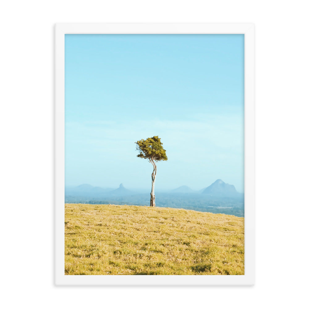 One Tree Hill Print