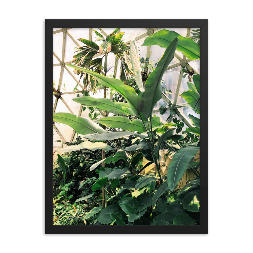 Greenhouse Print
