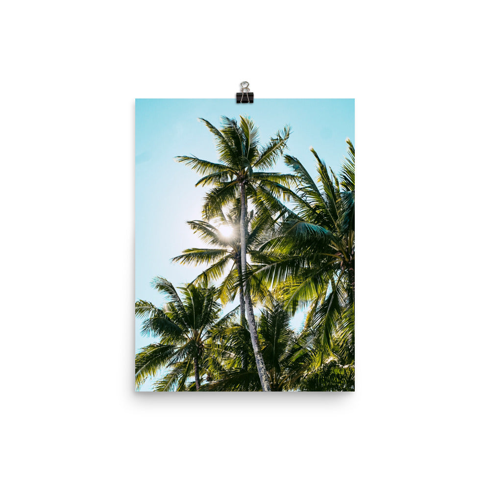 Palm Skies Print