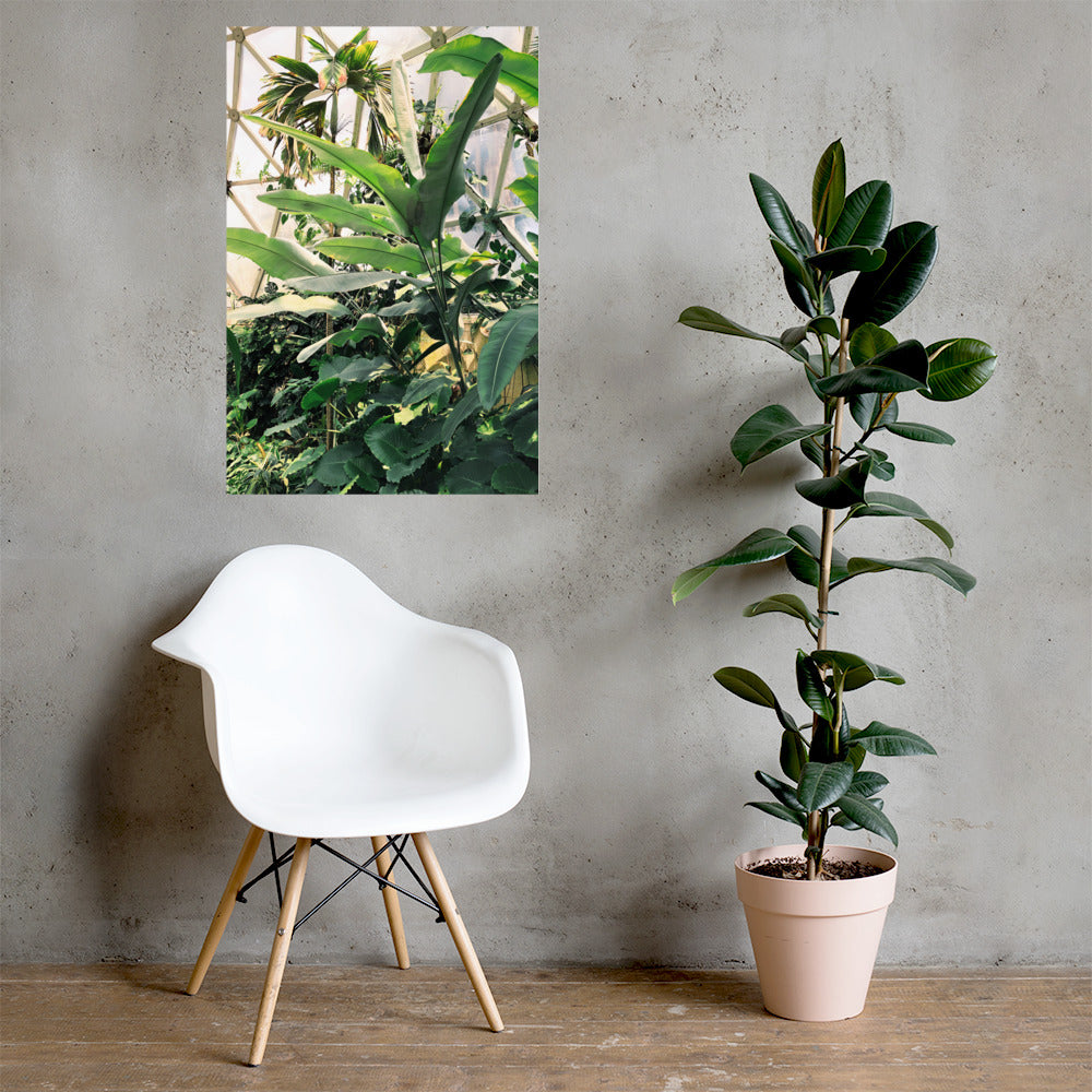 Greenhouse Print