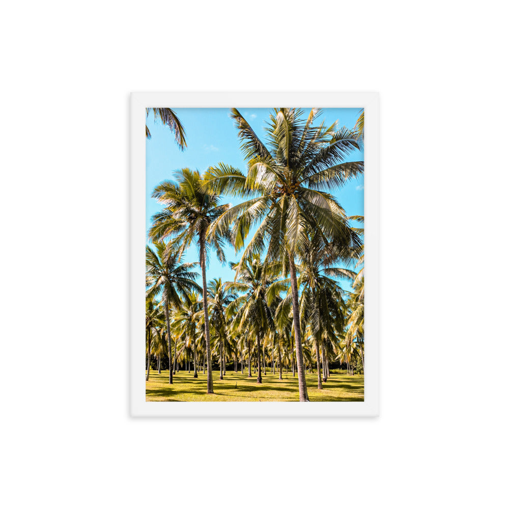Palm Farm Print