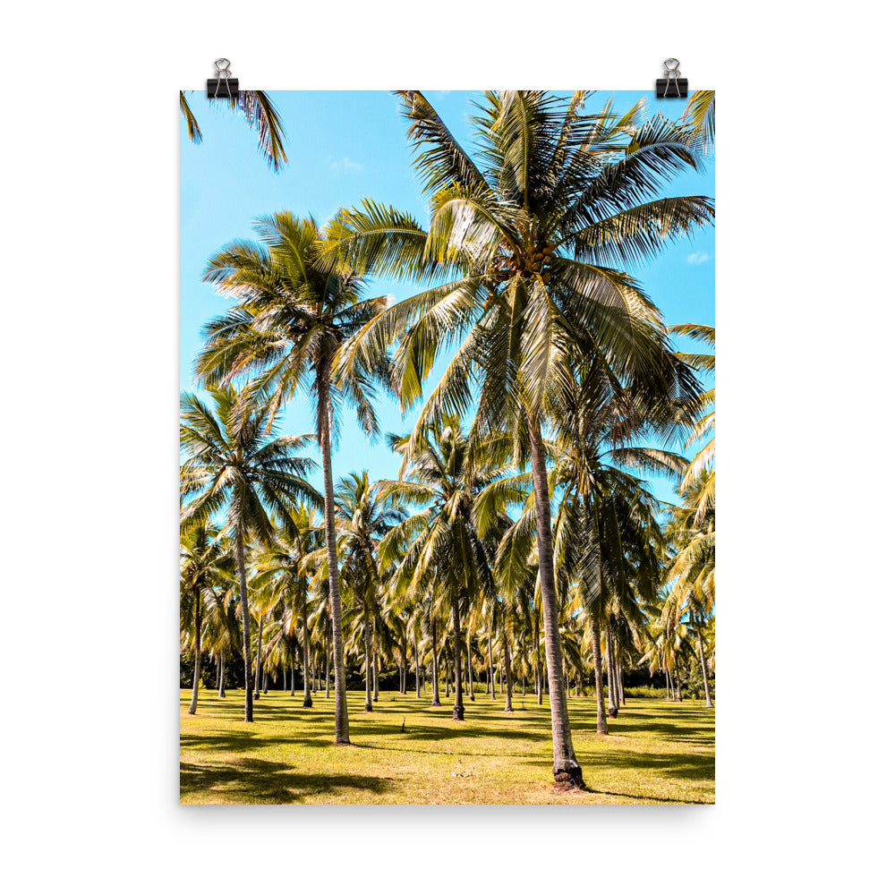 Palm Farm Print
