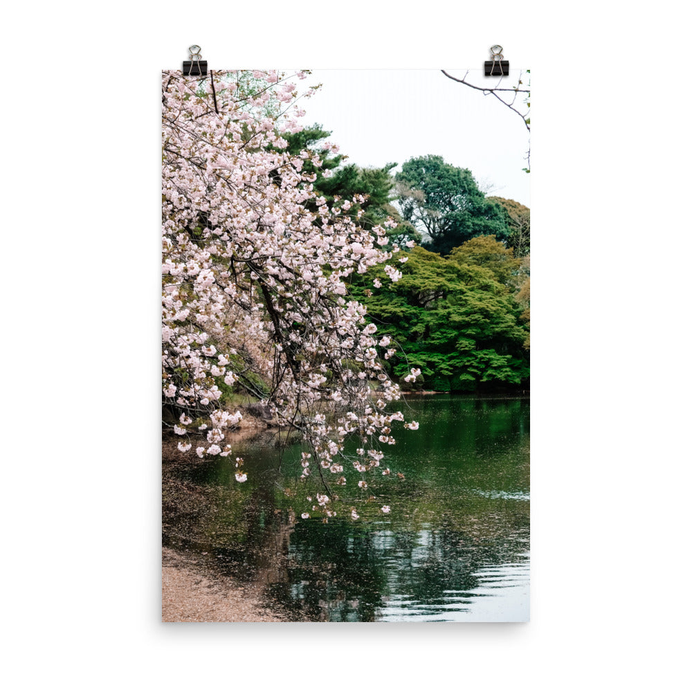 Japanese Garden Print
