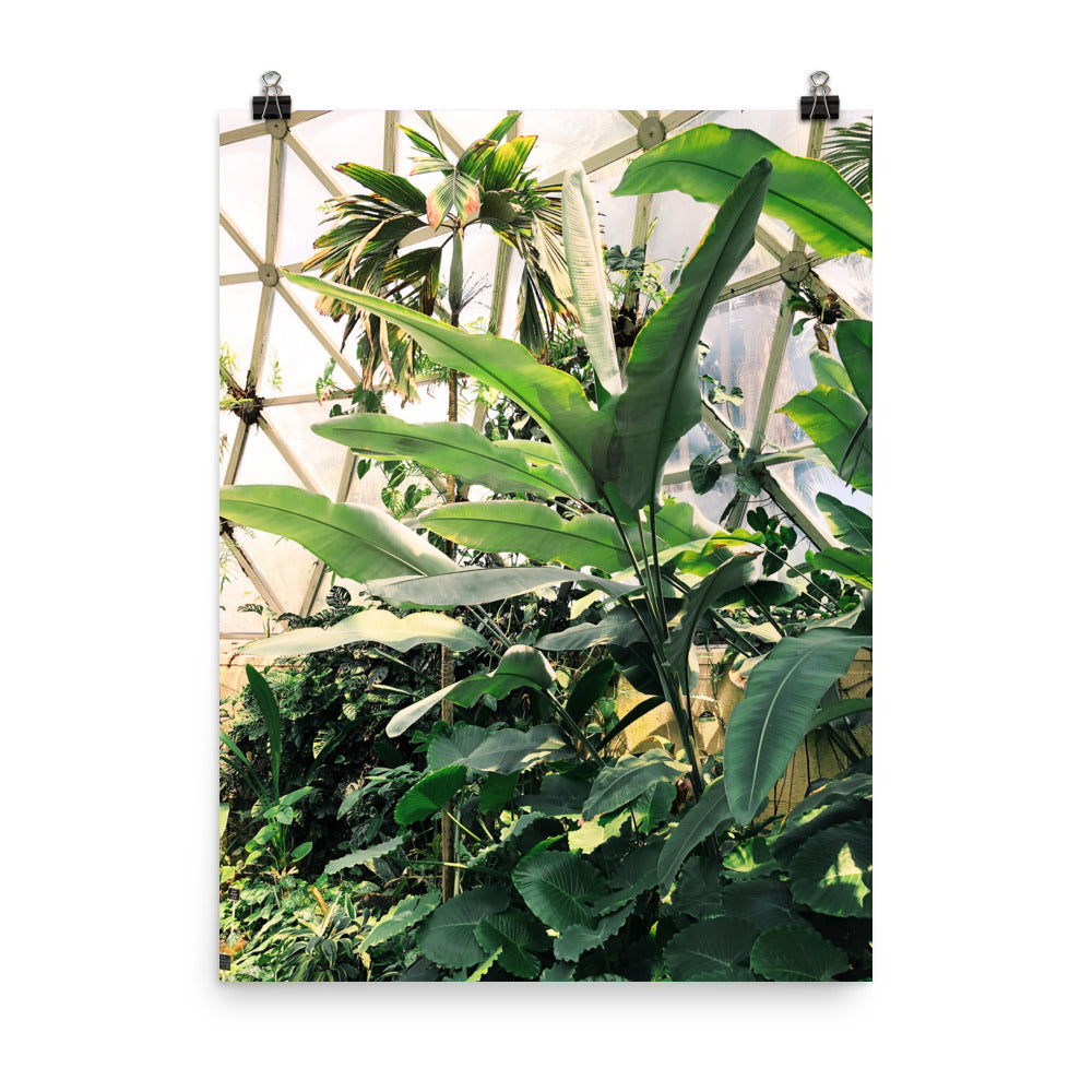 Greenhouse Print