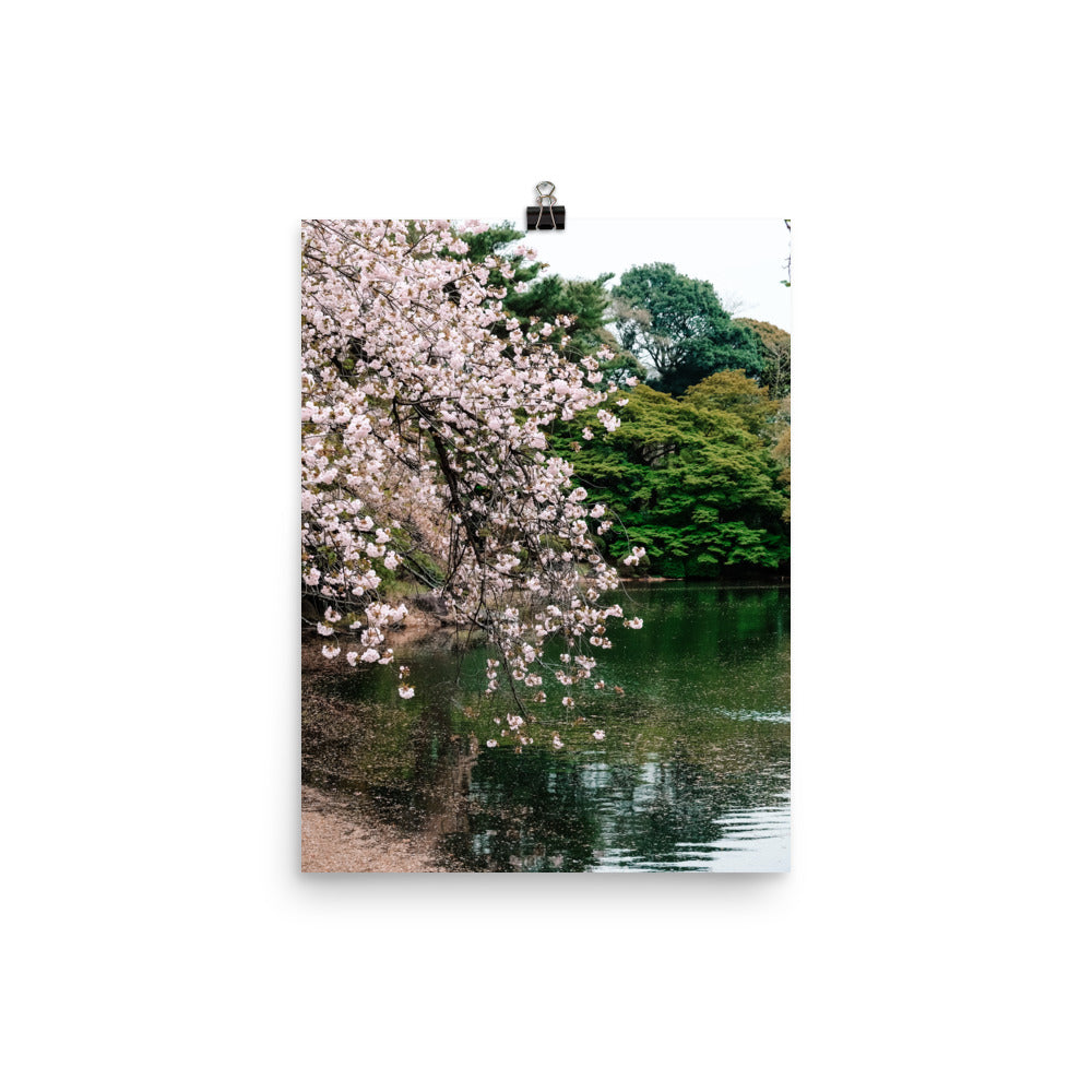 Japanese Garden Print