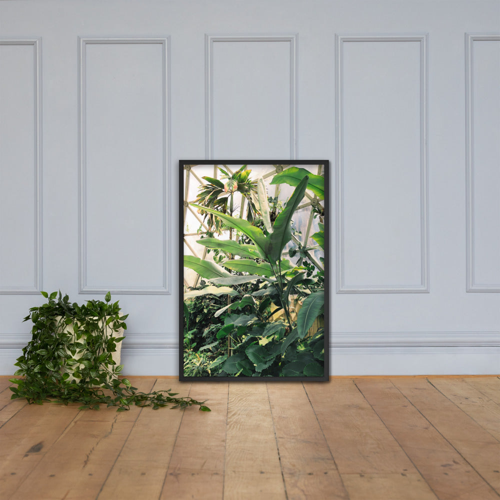 Greenhouse Print